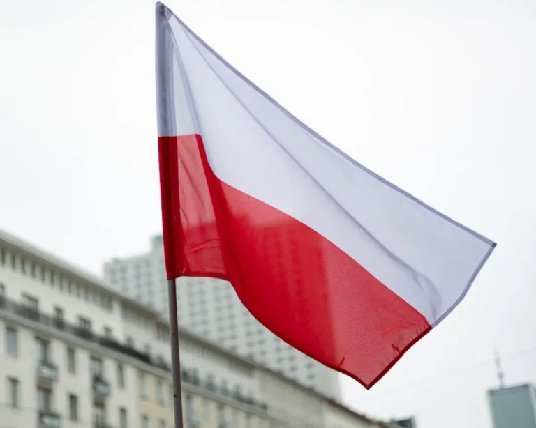Powołano Gminną Komisję ds. Wyborów w Olkuszu – wybory sołtysa w Zadolu Kosmolowskim