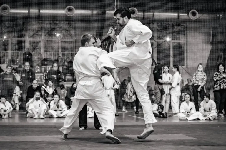 Turniej judo z okazji Dnia Niepodległości – UKS Ukemi Judo Wolbrom składa ofertę