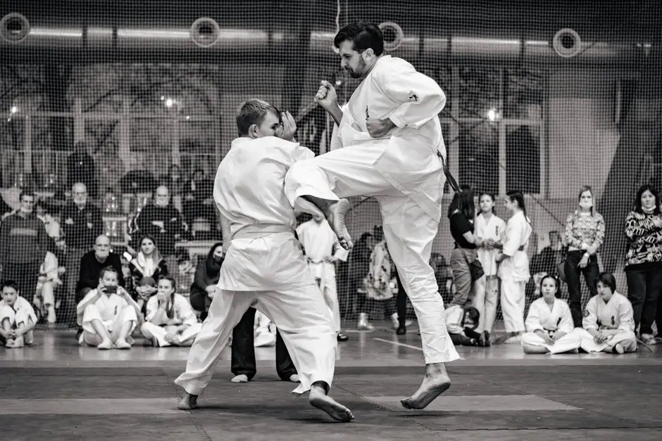 Turniej judo z okazji Dnia Niepodległości – UKS Ukemi Judo Wolbrom składa ofertę