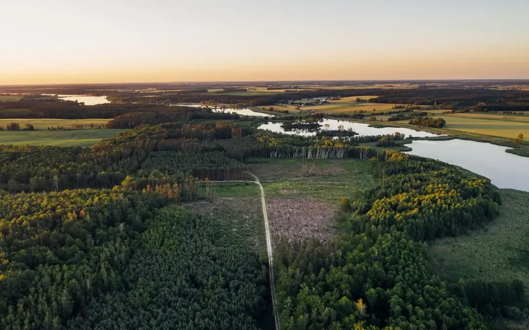 Gmina Olkusz sprzeda działkę przy ul. Króla Kazimierza Wielkiego