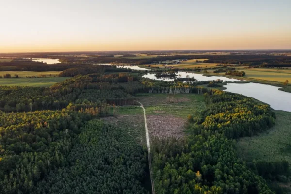 Gmina Olkusz sprzeda działkę przy ul. Króla Kazimierza Wielkiego