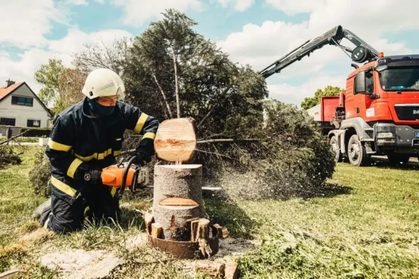 Drzewo opierało się o liny na ul. Borowskiej – interwencja OSP Bukowno Miasto