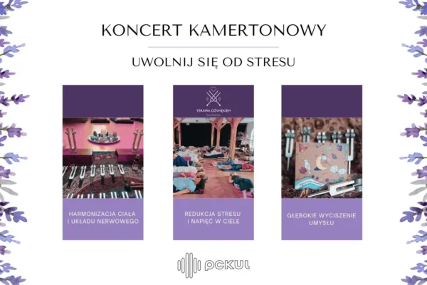 Relaksacyjny koncert kamertonowy w Pszczynie – regeneracja dźwiękiem