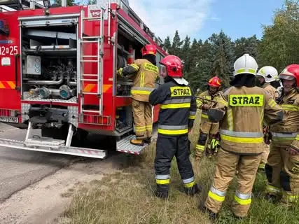 Pożar trawy w Lgocie Wolbromskiej – strażacy w akcji