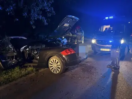 Wypadek w Wolbromiu: samochód uderzył w drzewo, dwie osoby ranne