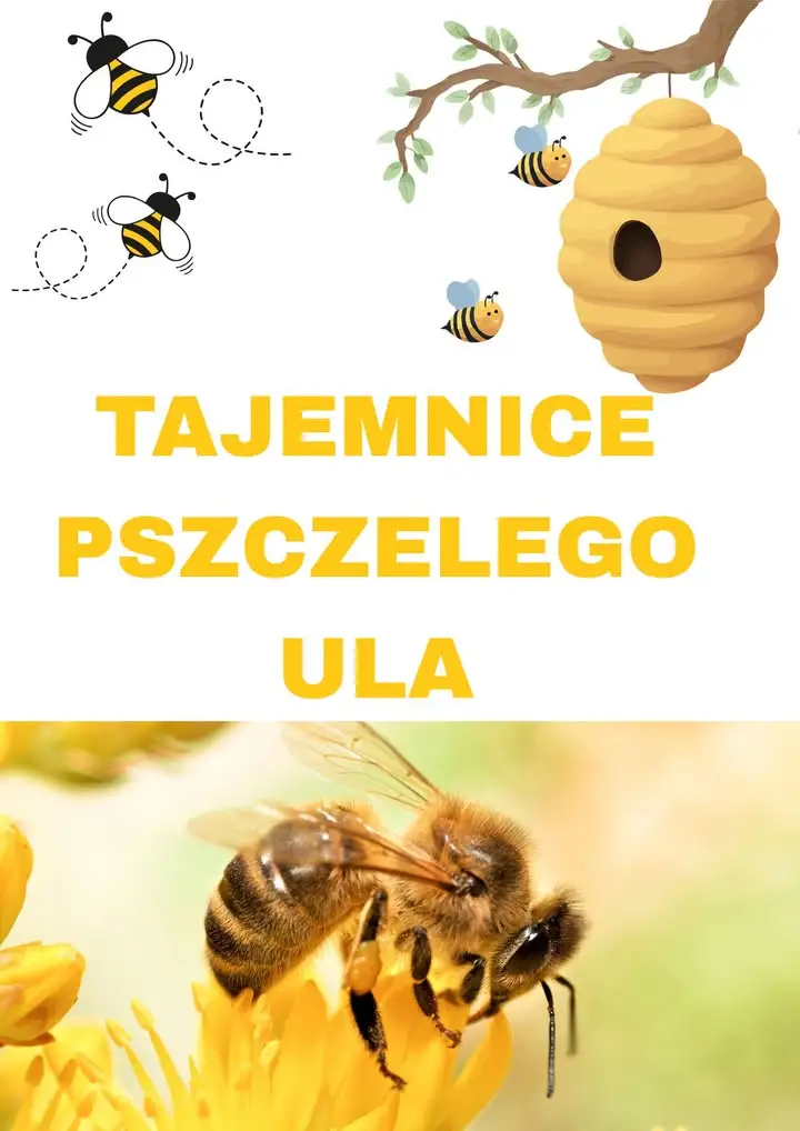 Wakacyjne spotkanie w bibliotece: odkryj tajemnice pszczół i miodu