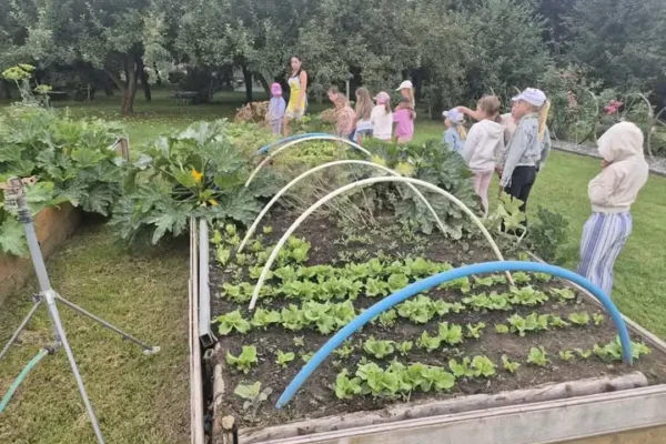 Lato z BIOAK: wycieczka do Zagrody Edukacyjnej Pszczółki w Niezwojowicach