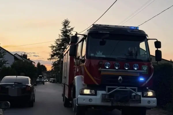 Strażacy z Wolbromia usunęli drzewo zagrażające budynkowi i linii energetycznej