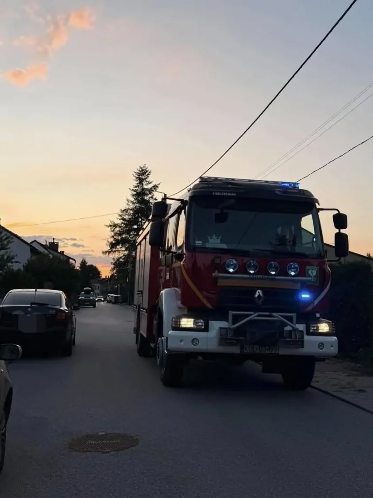 Strażacy z Wolbromia usunęli drzewo zagrażające budynkowi i linii energetycznej
