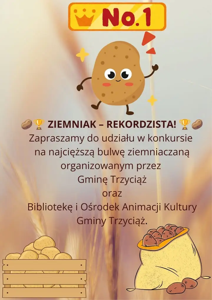 Konkurs na najcięższego ziemniaka w Gminie Trzyciąż – zgłoszenia do 28 września