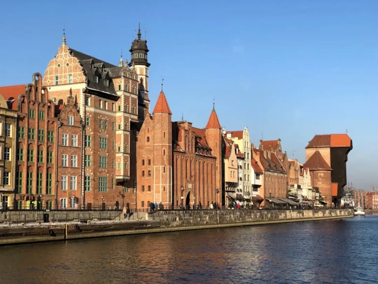 Struktura i obowiązki Wydziału Podatków i Opłat w Olkuszu
