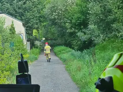 OSP Wolbrom podsumowuje ostatnie interwencje: drzewo, owady, plama oleju i poszukiwania zaginionej osoby