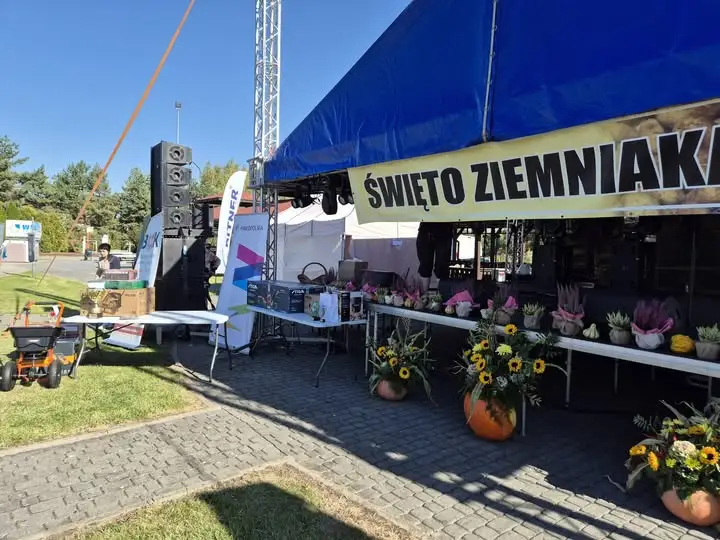 XIX Święto Ziemniaka w Gminie Trzyciąż – rekordy, muzyka i wspólnota